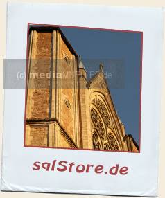 Braunschweiger-Domblick.jpg_ALT