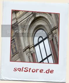 Portalfenster_Herzog-August-Bibliothek.jpg_ALT