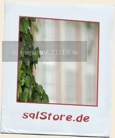 Seitenfenster_Schloss-Wolfenbuettel.jpg_ALT